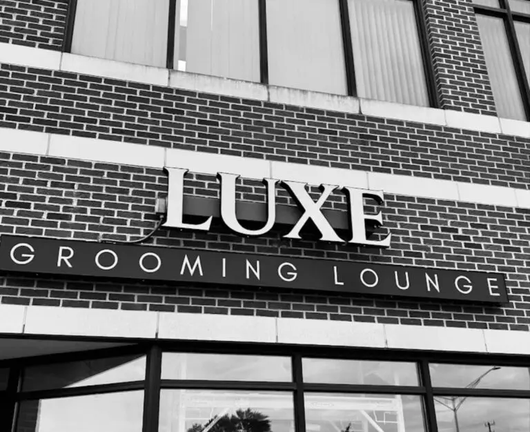 o7FZdXBpcx9PMbM7bo3v1732117448633 768x626