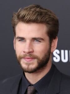 Liam Hemsworth Quiff