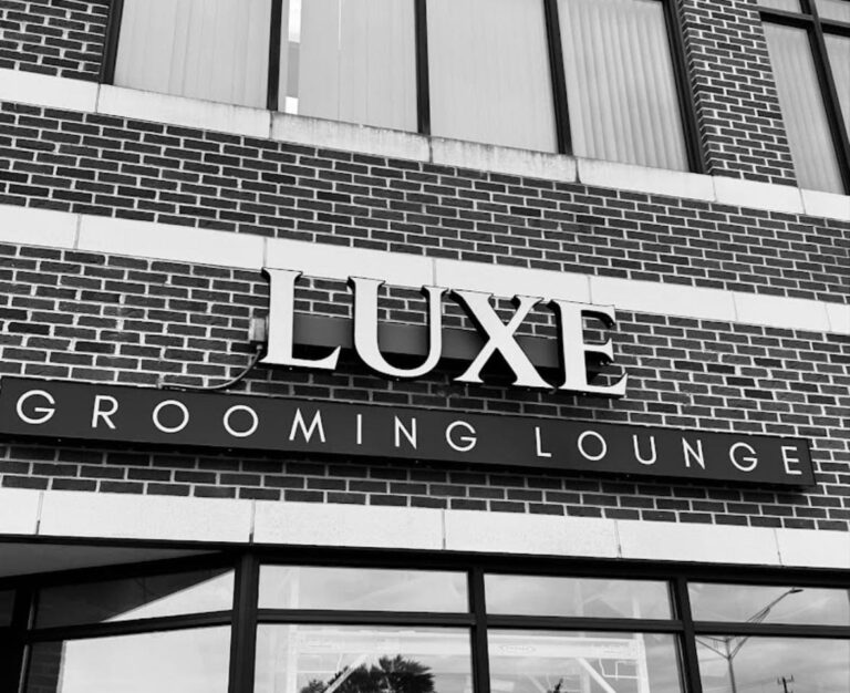 o7FZdXBpcx9PMbM7bo3v1732117448633 768x626